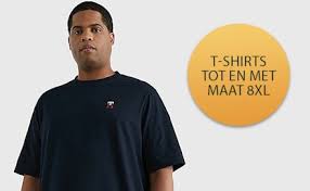 t shirt heren grote maten