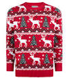 heren kersttruien