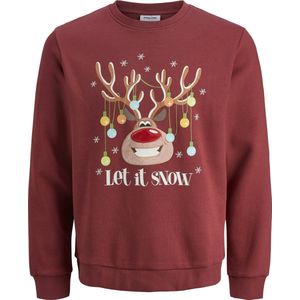 kersttrui dames primark